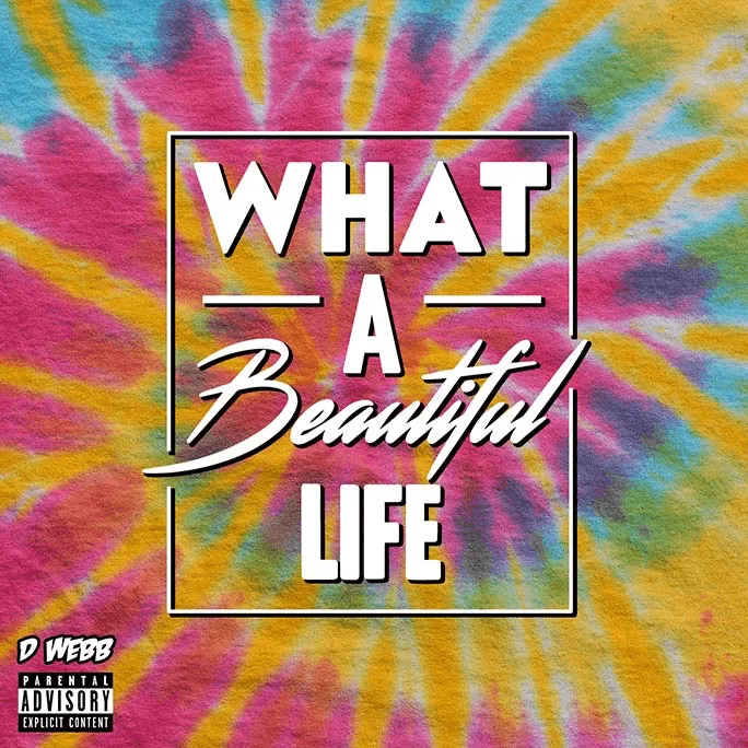D WEBB - What A Beautiful Life [Album Artwork]
