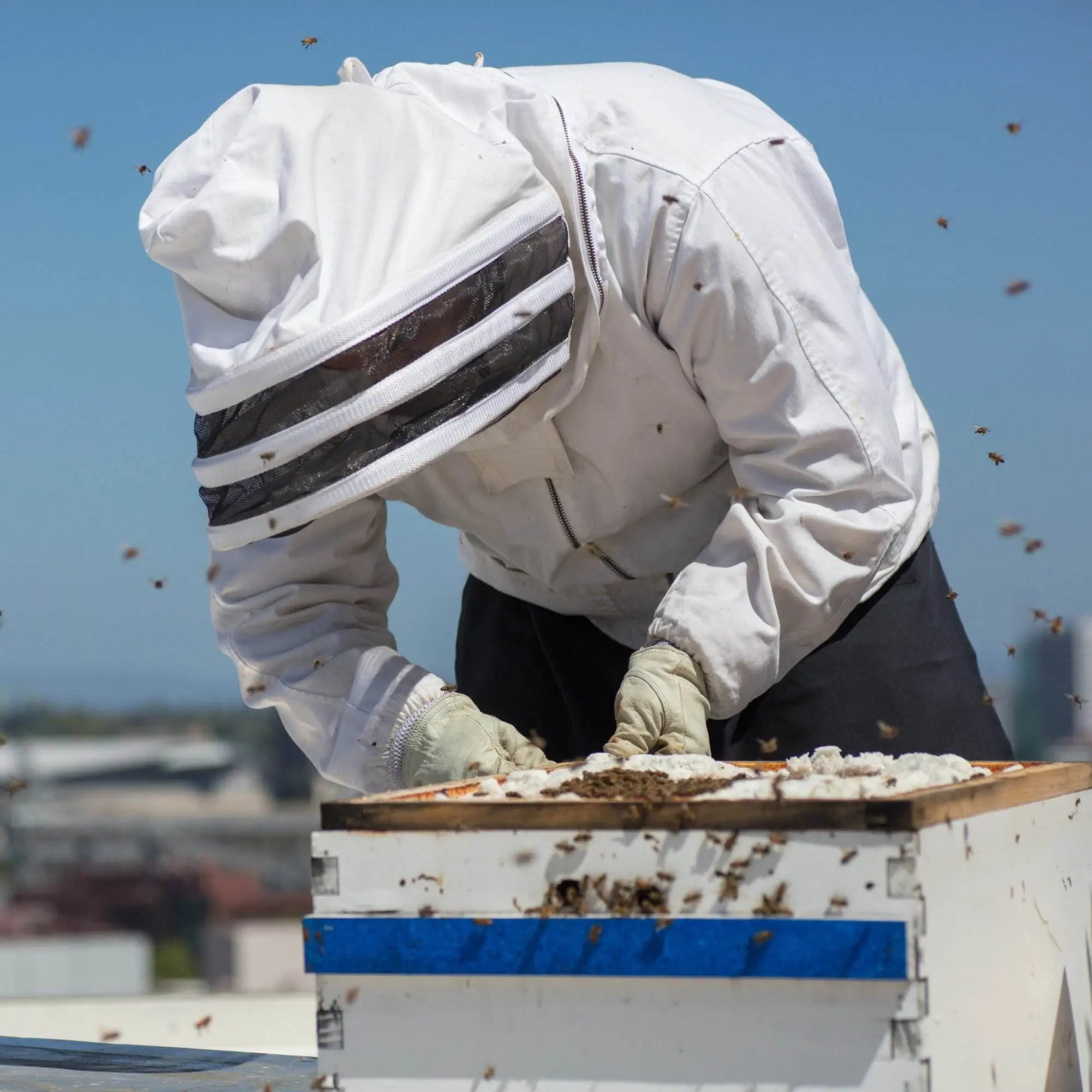 A beekeeper wearing protective gear inspects a rooftop beehive. There is a skyscraper and other buildings in the background.