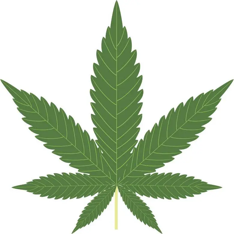 Editorial: The US Government Enforced Marijuana Prohibition For Racist Reasons...Surprised???