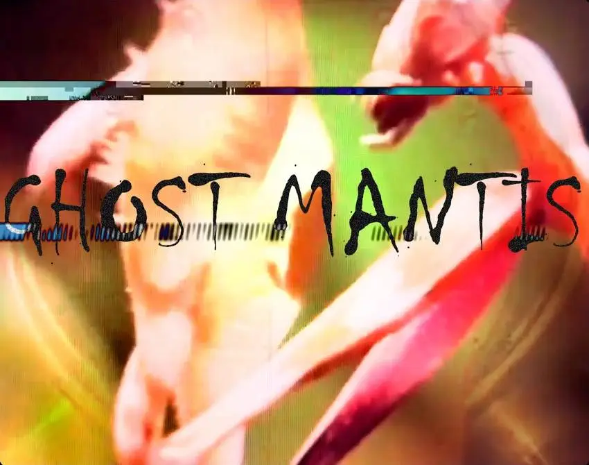 Mmuorxllsvg Hd