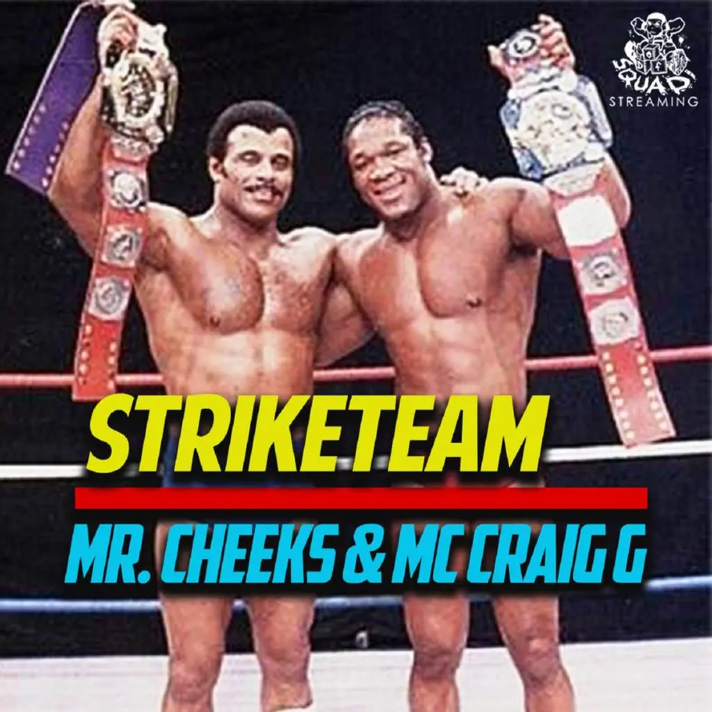 Mr cheeks & craig g striketeam [album artwork]