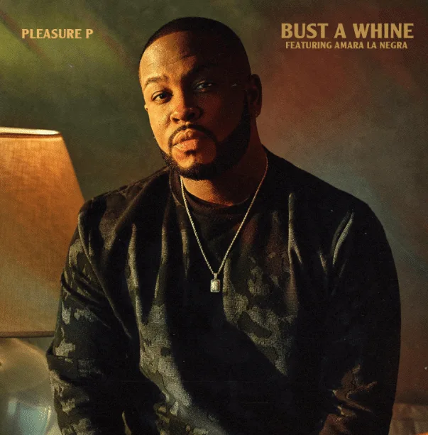 Pleasure p bust a whine [mp3 artwork]