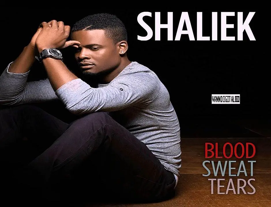 Audio: @VannDigital Interviews Shaliek (@OfficialShaliek) [7.15.2014]
