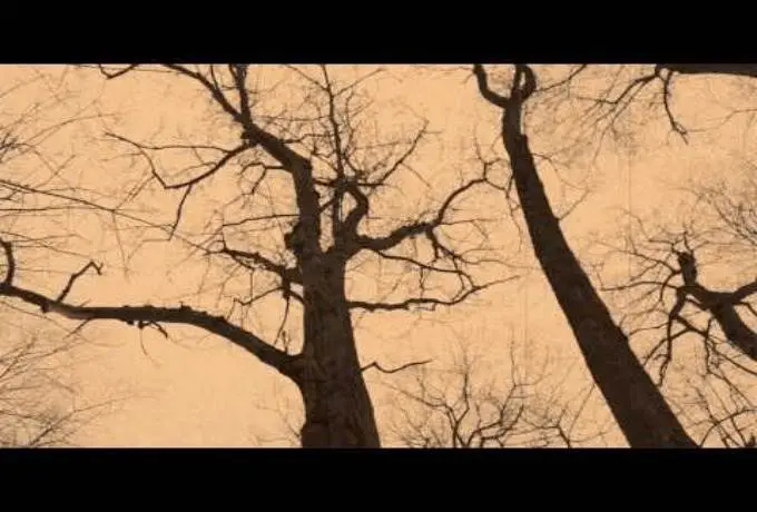 @MysterDL » The Watch Tower (Prod. @RawBofBBA) [Official Video]