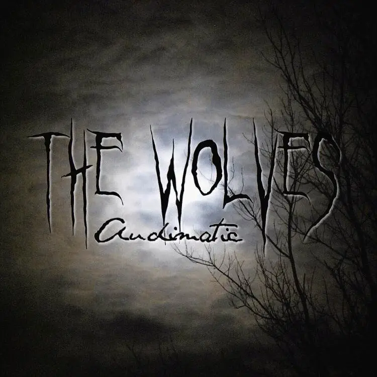@AudimaticMusic (@AudibleDoctor @maticulous21) » The Wolves [MP3]