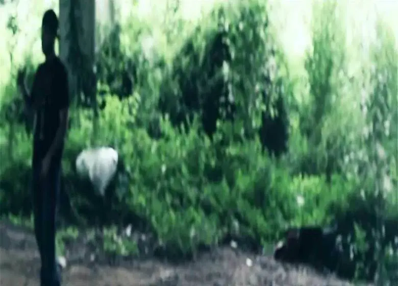 Video: Bryce Snow » Till I Collapse
