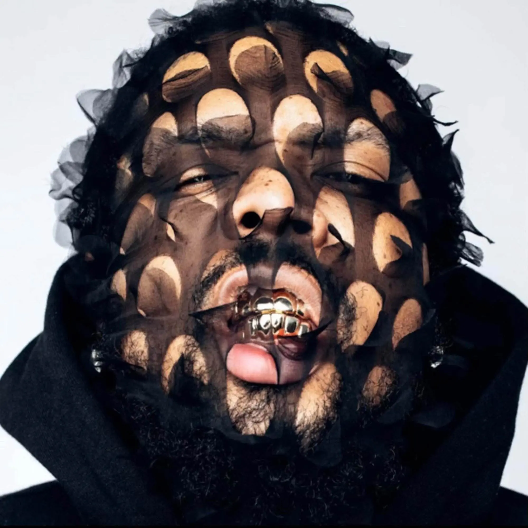 Westside gunn ‎hitler wears hermes 8: sincerely adolf [album artwork]