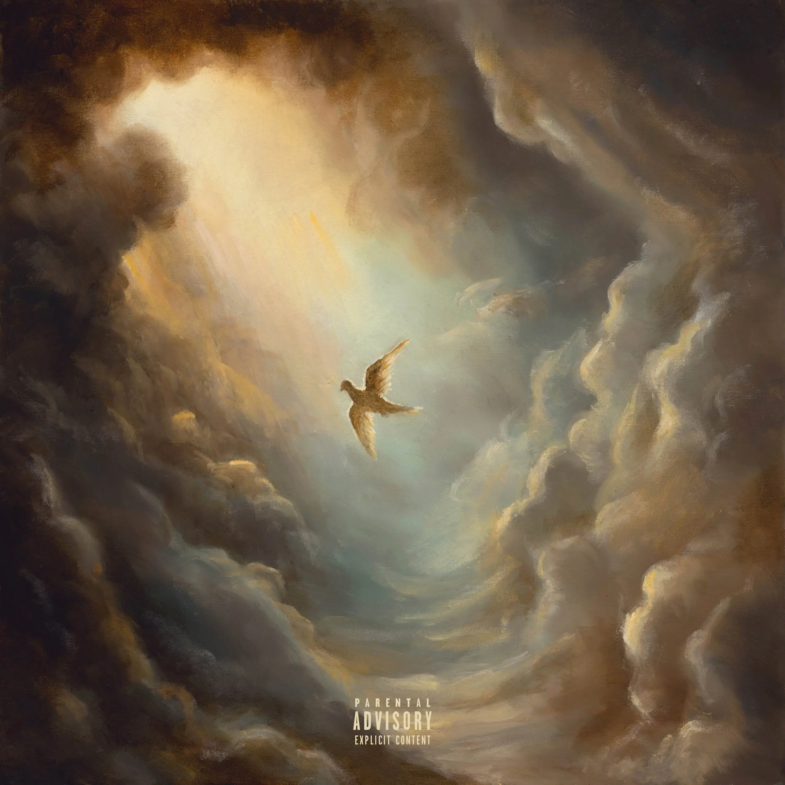 Stream Aaryan Shah’s ‘Do You See The Birds, Too?’ Album