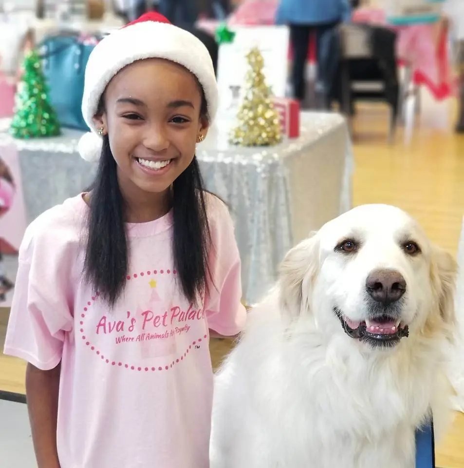 Ava dorsey, founder and owner of ava's pet palace