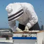 A beekeeper wearing protective gear inspects a rooftop beehive. There is a skyscraper and other buildings in the background.