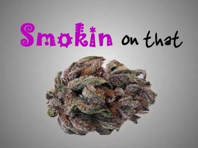 Im A Smoker animated video by DopeTrackz Shakur