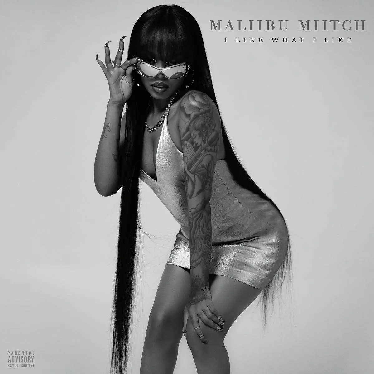 Maliibu miitch i like what i like [mp3 artwork]