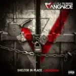 Mr. lif & stu bangas shelter in place [mp3 artwork]