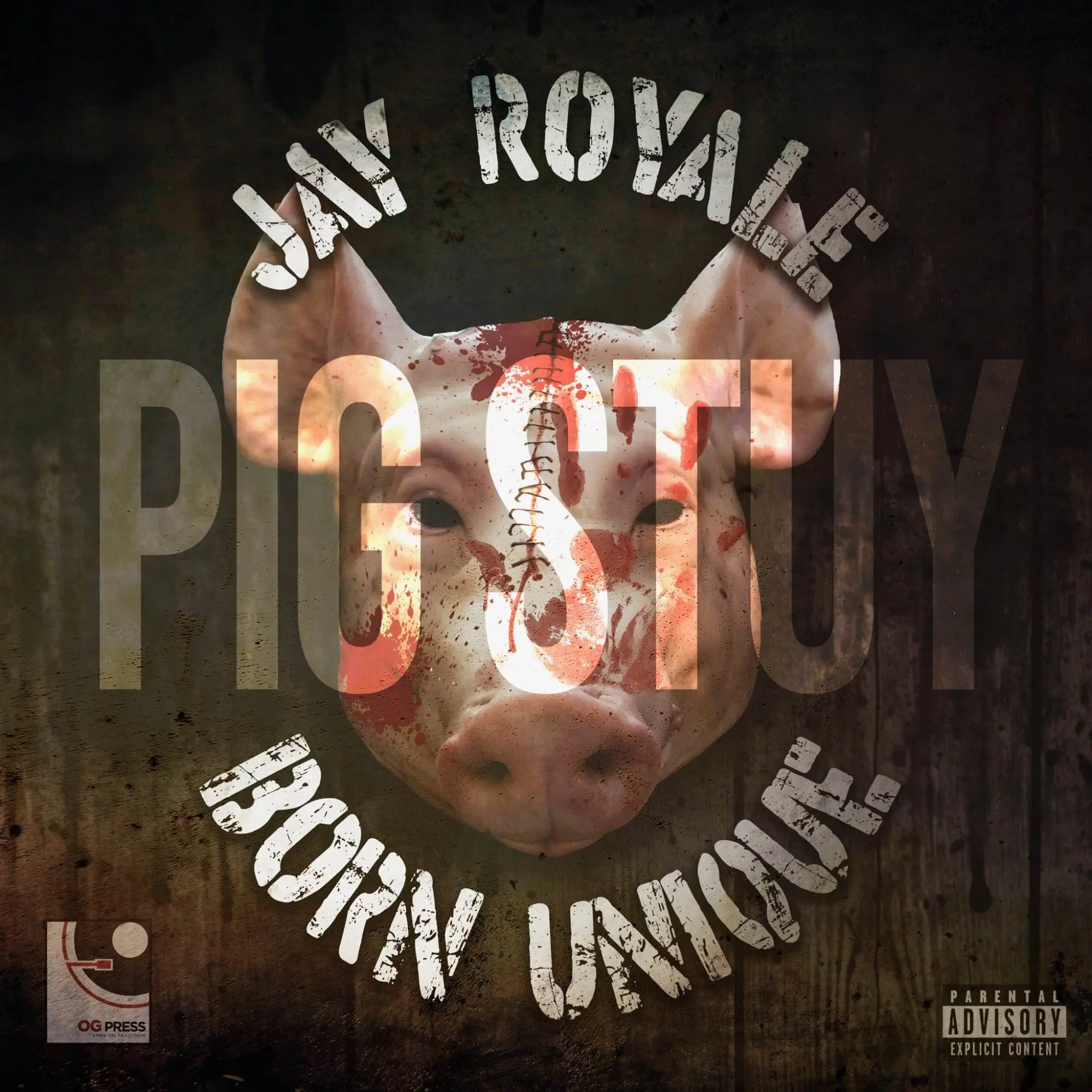 Pig stuy 1709663198775