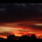 Vicee Octla Hd