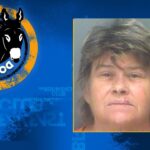 Florida Woman Christine Marie Terman Awarded Donkey Of The Day For Throwing Bucket Of Urine On Neighbor After Chicken Dispute