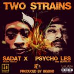 MP3: BigBob feat. Psycho Les, Sadat X, & LDontheCut - Two Strains