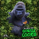 MP3: DJ Big Inf - Gorilla Cookie