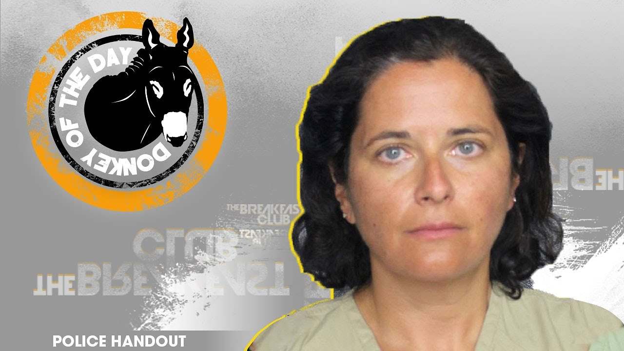 Chicago Woman Marina Verbitsky Awarded Donkey Of The Day For Making False Bomb Threat After Arriving Late For Flight In Florida