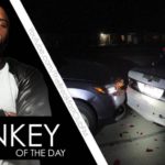 Miranda Kay Rader Awarded Donkey Of The Day For Crashing Into Cop Car While Attempting Topless Selfie