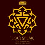 MP3: Nametag Alexander feat. Paris Shenae - Soul Speak